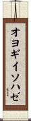 オヨギイソハゼ Scroll