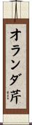 オランダ芹 Scroll