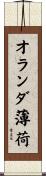 オランダ薄荷 Scroll