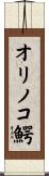 オリノコ鰐 Scroll