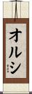 オルシ Scroll