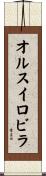 オルスイロビラ Scroll