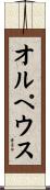 オルペウス Scroll