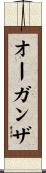 オーガンザ Scroll