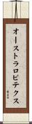 オーストラロピテクス Scroll