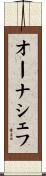 オーナシェフ Scroll