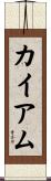 カイアム Scroll