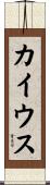 カイウス Scroll