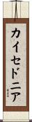 カイセドニア Scroll