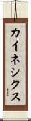カイネシクス Scroll