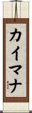 カイマナ Scroll