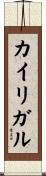 カイリガル Scroll