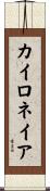 カイロネイア Scroll