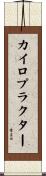 カイロプラクター Scroll