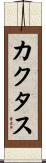 カクタス Scroll