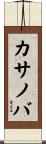 Casanova Scroll