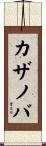 カザノバ Scroll