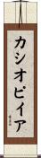 カシオピイア Scroll