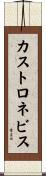 カストロネビス Scroll