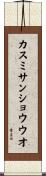 カスミサンショウウオ Scroll