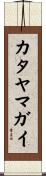 カタヤマガイ Scroll