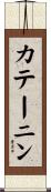 カテーニン Scroll