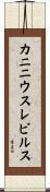 カニニウスレビルス Scroll