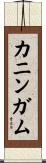 カニンガム Scroll