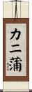 カニ蒲 Scroll