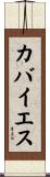 カバイエス Scroll