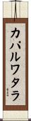 カパルワタラ Scroll