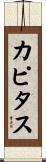 カピタス Scroll