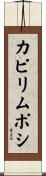 カピリムポシ Scroll
