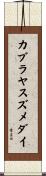 カブラヤスズメダイ Scroll