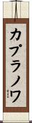 カプラノワ Scroll