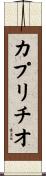 カプリチオ Scroll