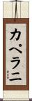 カペラニ Scroll