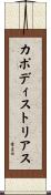 カポディストリアス Scroll