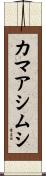 カマアシムシ Scroll