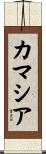 カマシア Scroll
