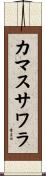 カマスサワラ Scroll