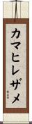 カマヒレザメ Scroll