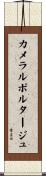 カメラルポルタージュ Scroll