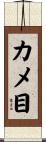 カメ目 Scroll