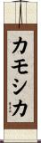 カモシカ Scroll