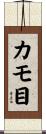 カモ目 Scroll
