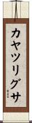 カヤツリグサ Scroll
