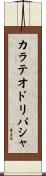カラテオドリパシャ Scroll