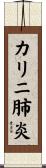 カリニ肺炎 Scroll