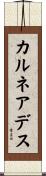 カルネアデス Scroll
